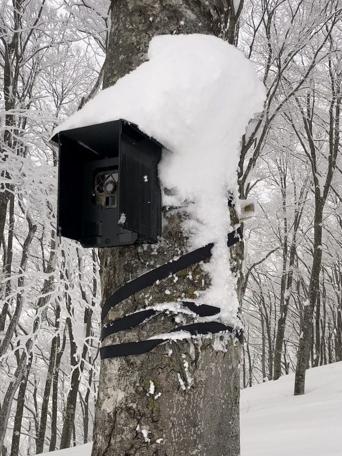 積雪の中で稼働するカメラ