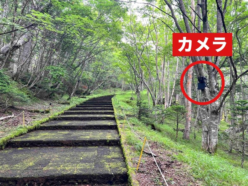 静岡県 富士山の登山道(赤丸がカメラの位置)